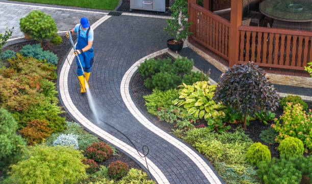 Best Roof Power Washing Services  in Washington, PA